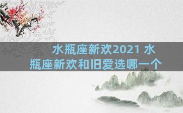 水瓶座新欢2021 水瓶座新欢和旧爱选哪一个